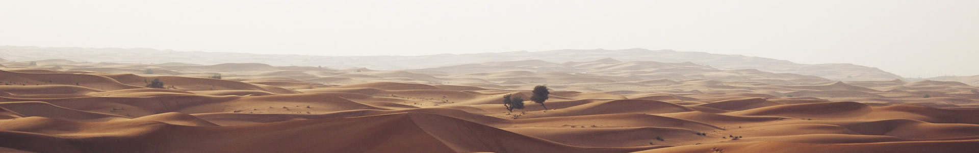 ɽʰ޹˾